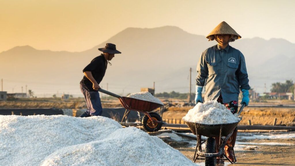 The History of Salt_ From Ancient Treasure to Modern Necessity